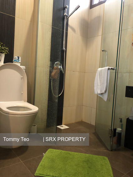 Dunearn Suites (D11), Apartment #250642631
